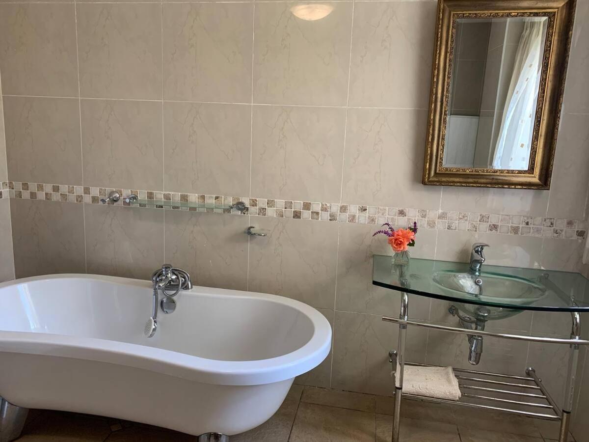 לואי טריכארט Mountain Rose Guesthouse מראה חיצוני תמונה