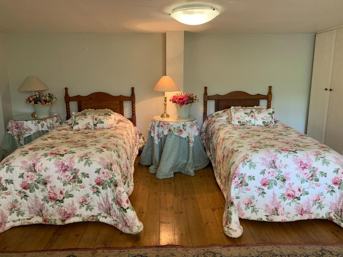 לואי טריכארט Mountain Rose Guesthouse מראה חיצוני תמונה